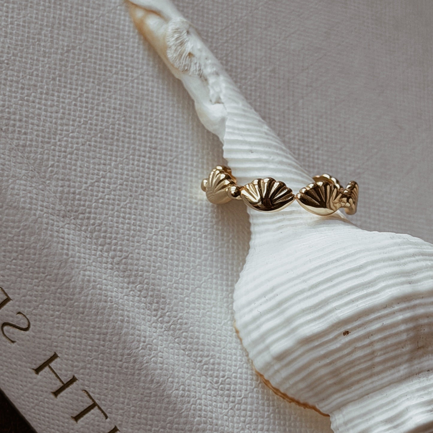 FERA Scallop Shell Ring - ASH MOLLIE STUDIO