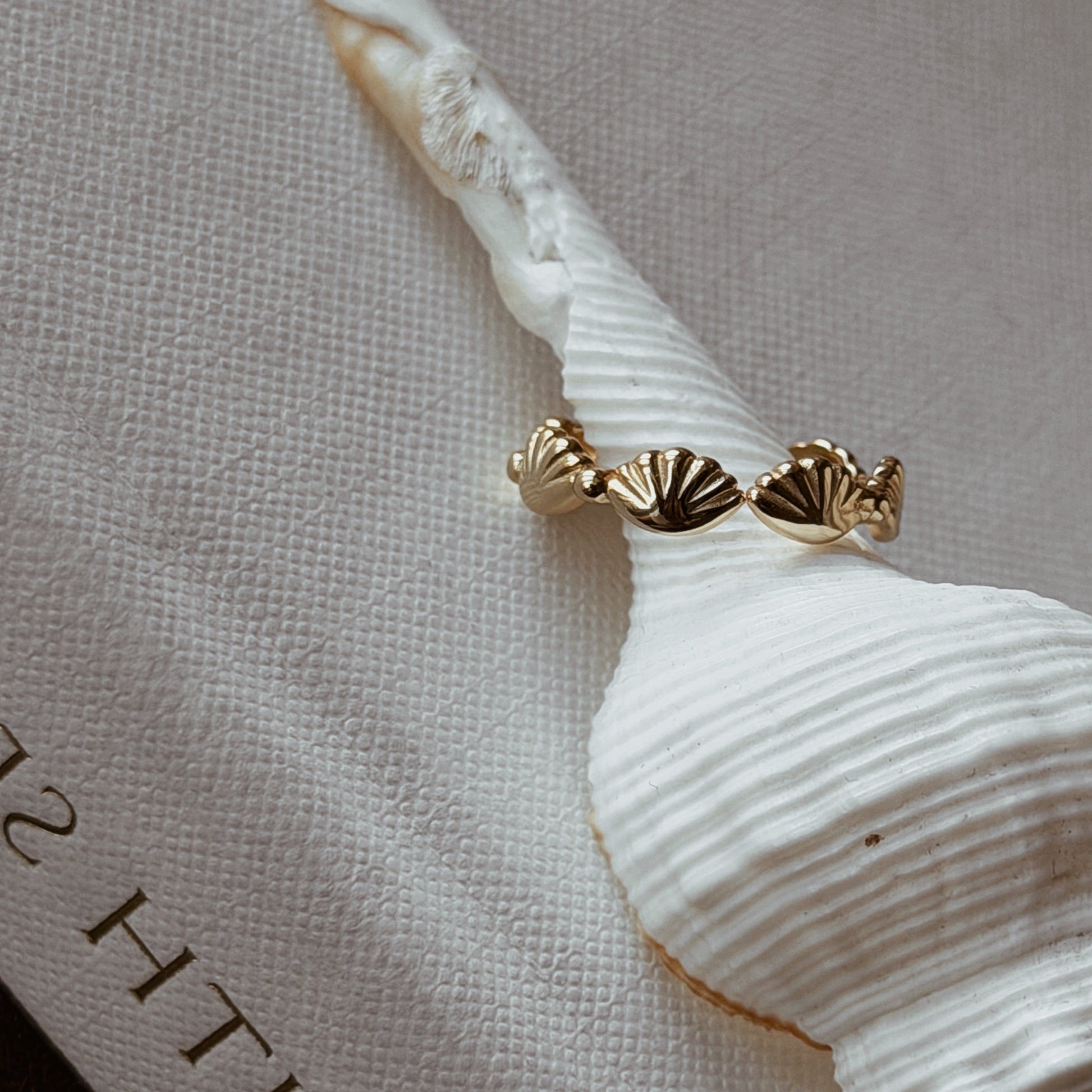 FERA Scallop Shell Ring - ASH MOLLIE STUDIO