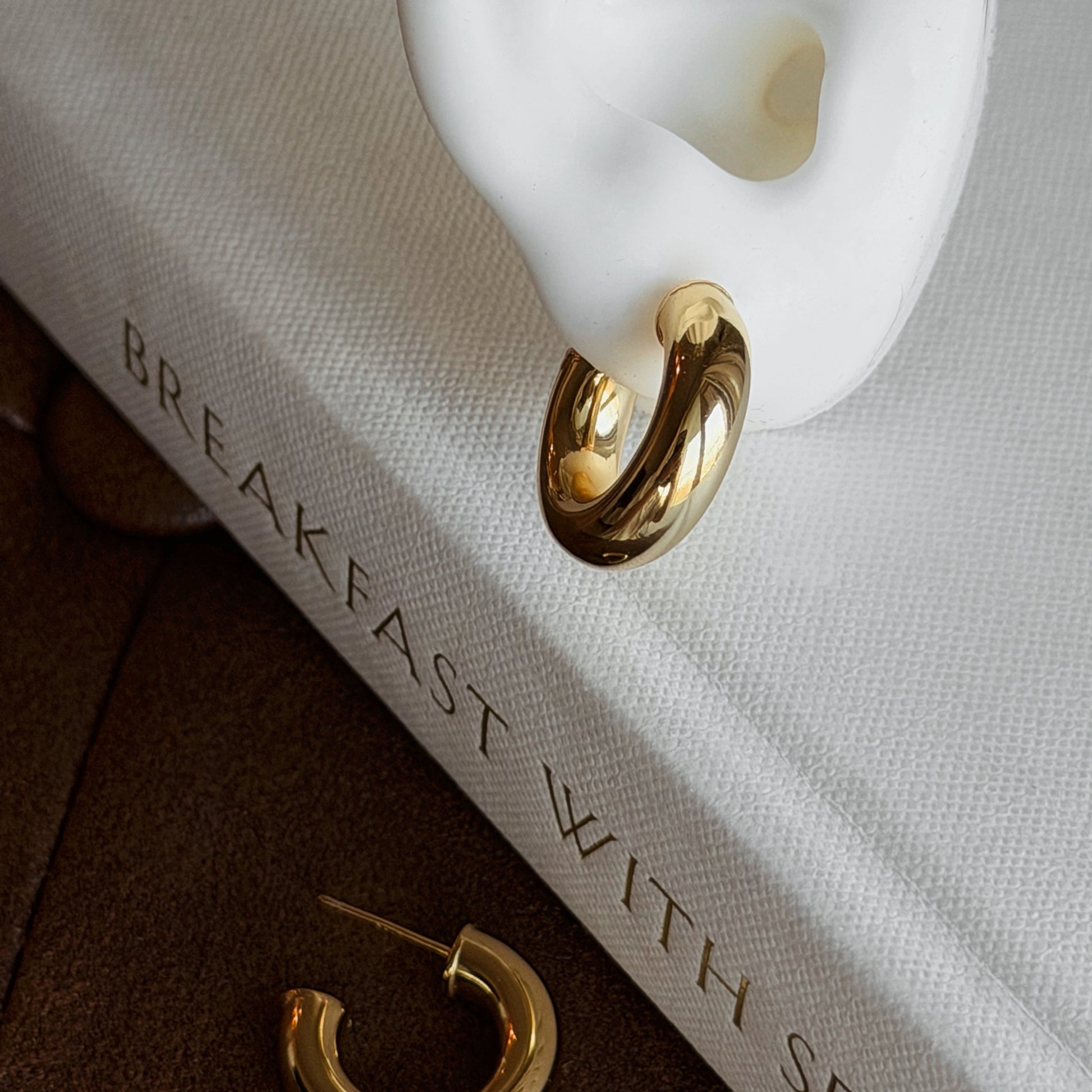 Livia Hoop Earrings - ASH MOLLIE STUDIO