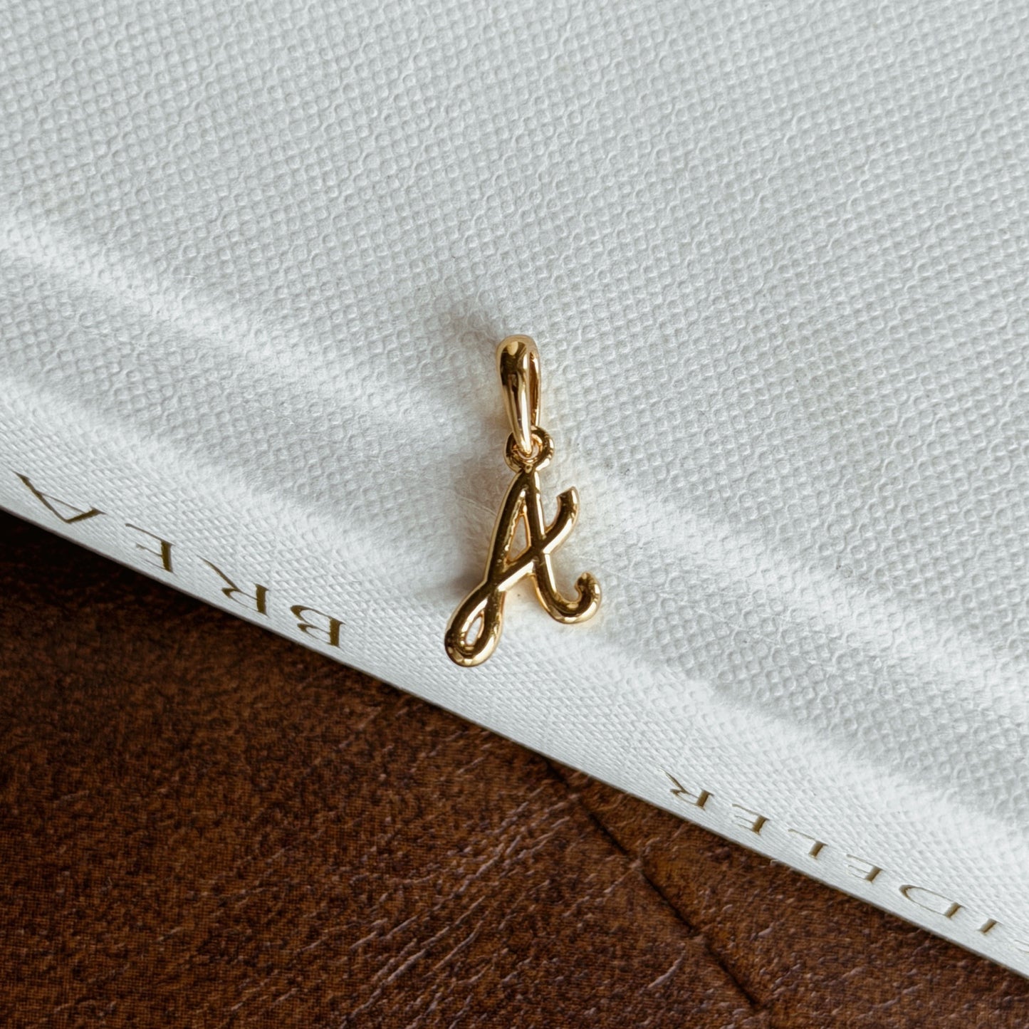 The Chosen Letter | Initial Pandant - ASH MOLLIE STUDIO