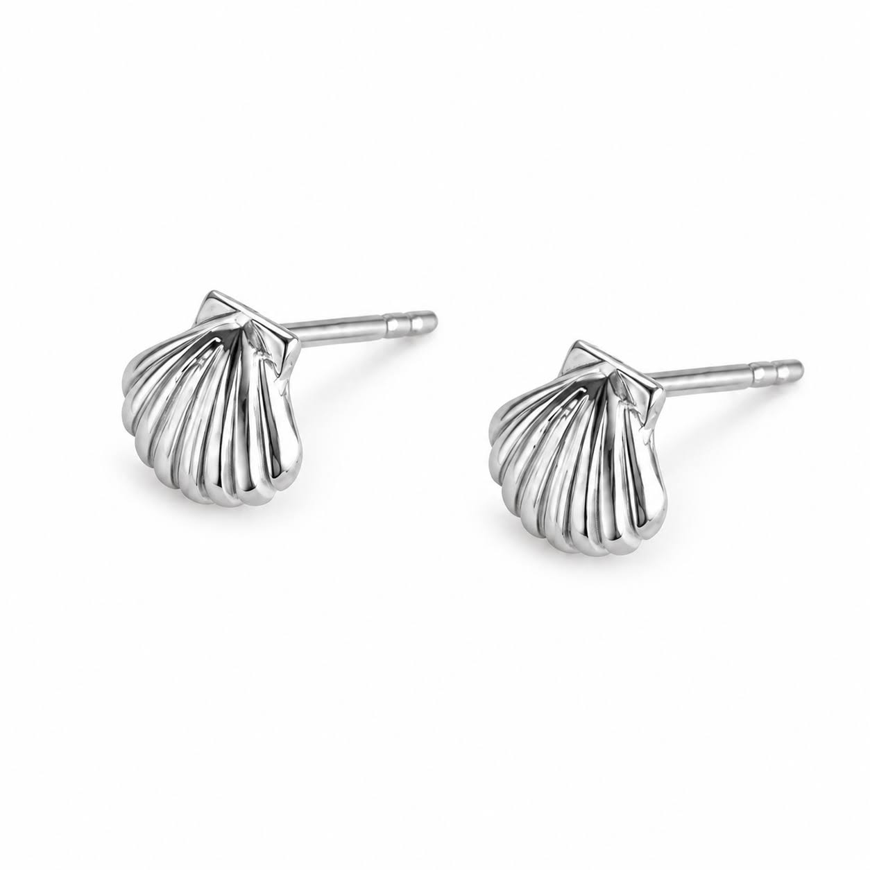 AINE Scallop Shell Stud Earrings